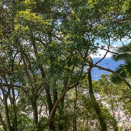 Little Cove Court - Apartment 11-3